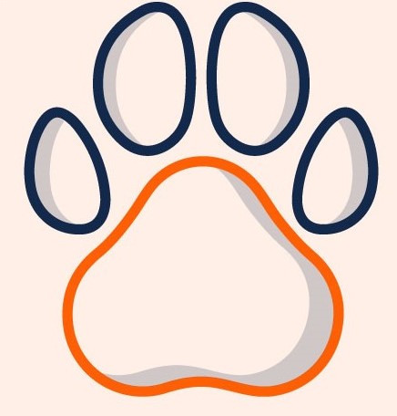 Strauss Research Group at the University of Illinois Urbana-Champaign